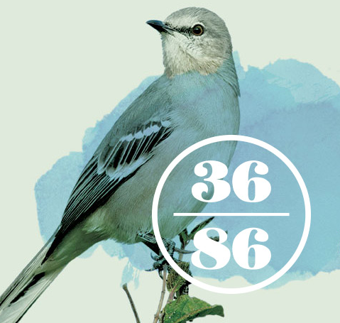 3686 is the latitude and longitude of Nashville and the Mockingbird is the state bird of TN