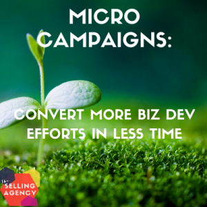 Build a Micro Campaign for Business Development